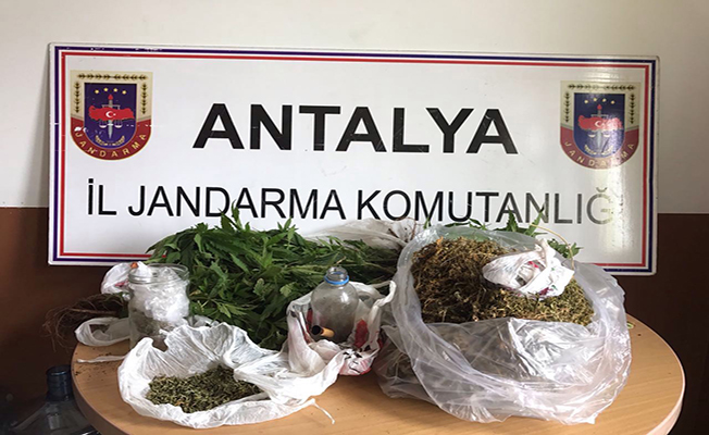 Jandarmadan uyuşturucu operasyonu