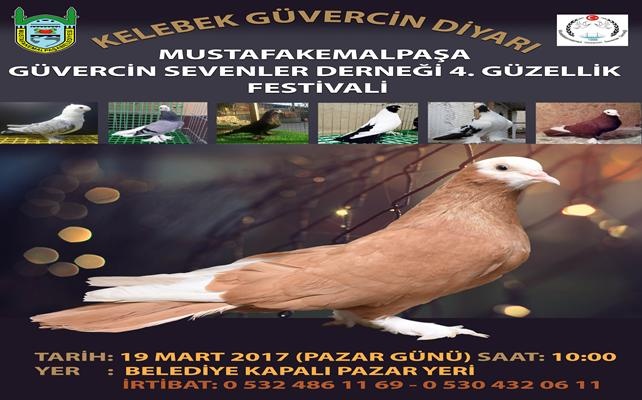 M. Kemalpaşa’da Güvercin Festivali