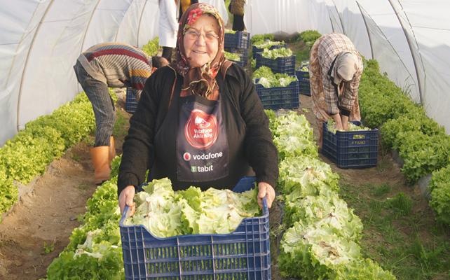 Vodafone'un kadın çiftçileri ilk hasattan 30 bin marul sattı