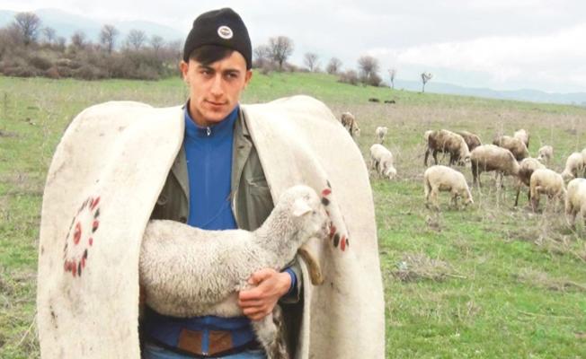 "Çoban fuarı damızlık bilincini artıracak"