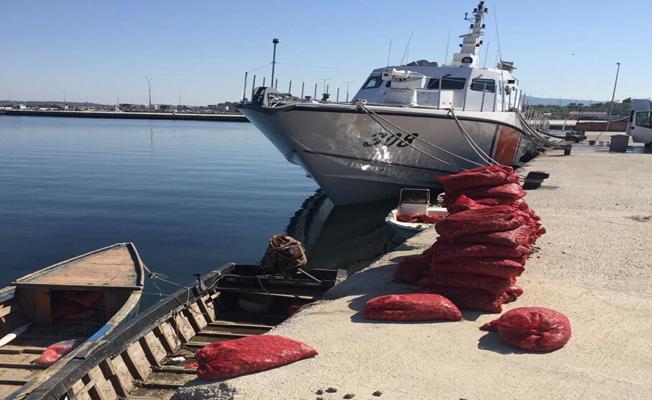 Edirne'de 3 ton kaçak midye ele geçirildi