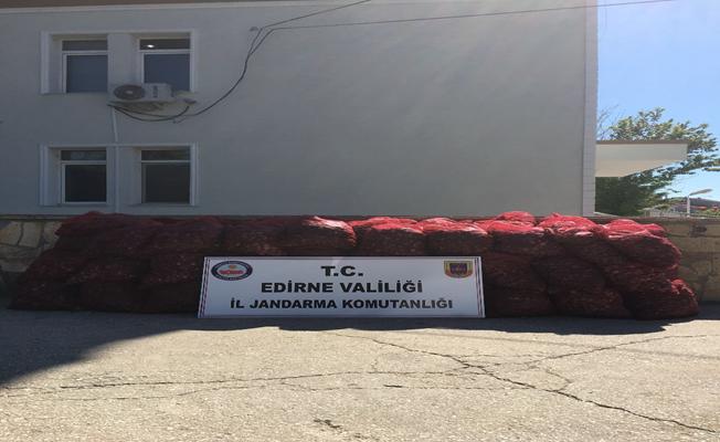 Edirne'de "kaçak midye" operasyonu