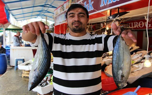 Marmara'da balıkçılar palamutla güldü