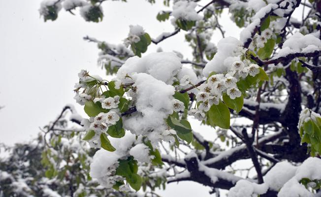 Sakarya'da kar yağışı