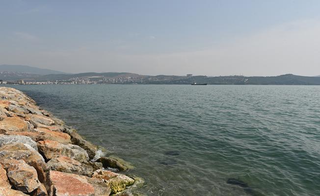 Deniz suyu kirlilikten arınıyor