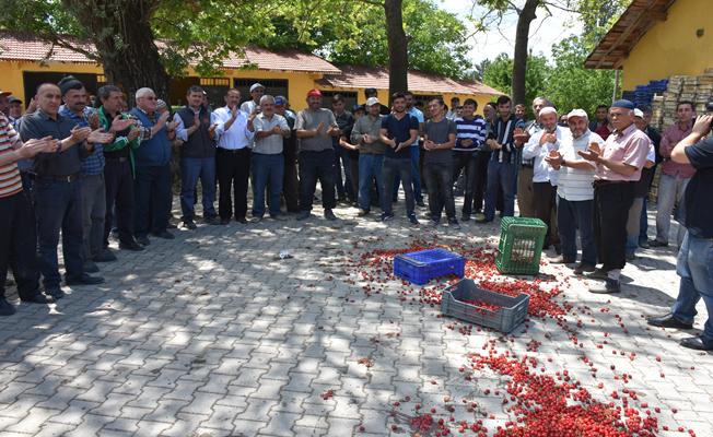 Kiraz üreticisinden "fiyat tepkisi"