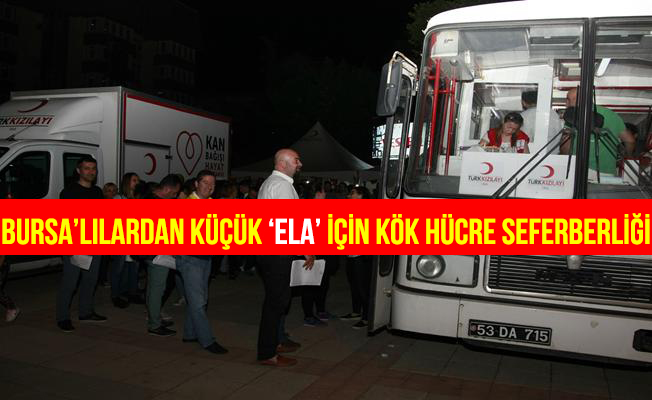 Lösemi hastası Ela için kök hücre seferberliği