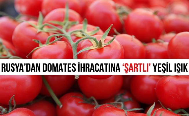 Rusya'dan domates ithalatına "şartlı" yeşil ışık