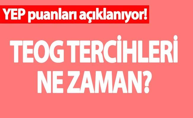 TEOG'da yerleştirmeye esas puanlar açıklandı