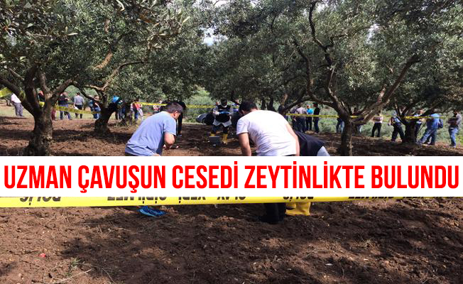 Uzman Çavuş'un Cesedi Zeytinlikte Bulundu