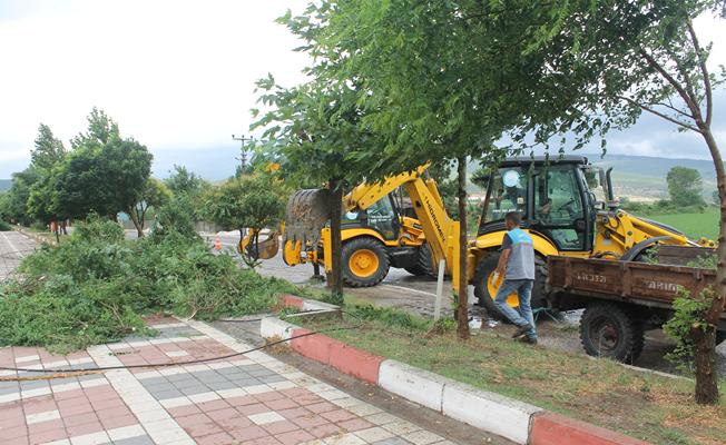 Balıkesirde şiddetli rüzgar