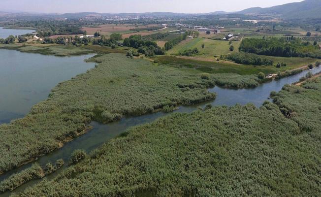 Bursa'da Jandarmadan "Drone"lu Uyuşturucu Denetimi