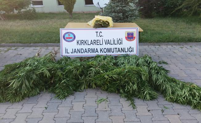 Lüleburgaz'da uyuşturucu operasyonu