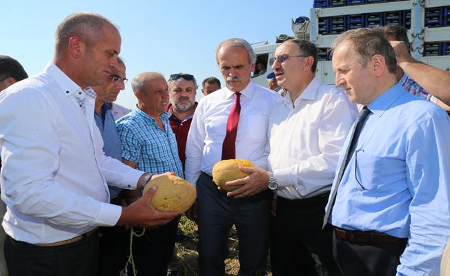 Mustafakemalpaşa ve Karacabey'deki dolu yağışı