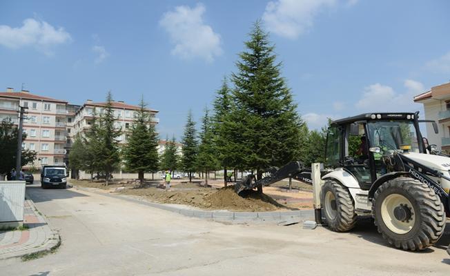 Burhaniye Mahallesi Yeni Koruluk Alanına Kavuşuyor