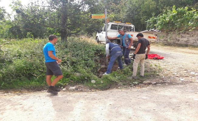 Evliya Çelebi Yolu Yeniden Hayat Buluyor