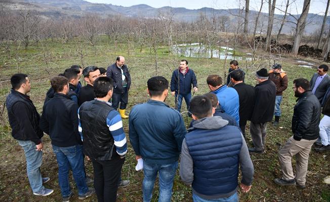 Turgutalp Mahallesinde Çiftçilere Meyve Budama Eğitimi