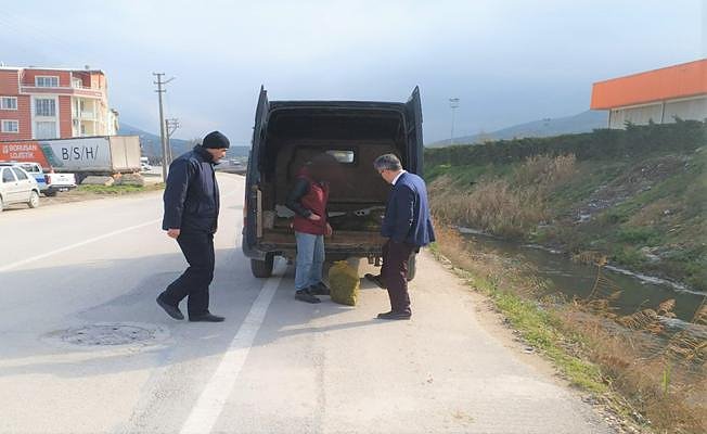 Gemlik zabıtası kaçak midye avcılığını önlüyor