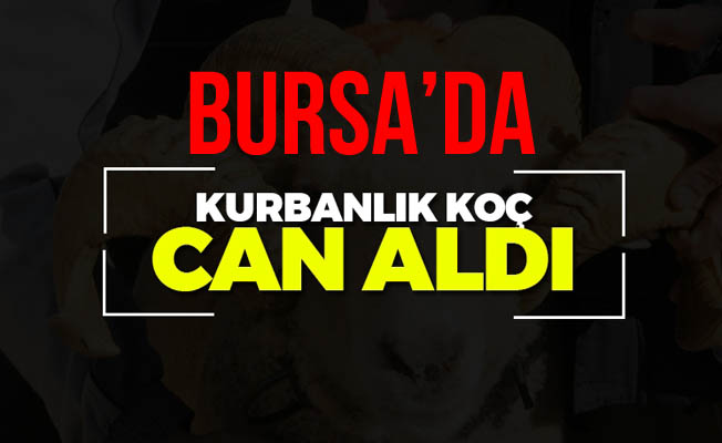 Bursa'da Koç'un Vurduğu Kadın Hayatını Kaybetti