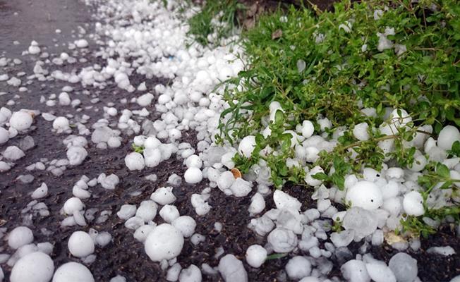 Bursa'da Sağanak Dolu Yağışı Meyva Sebze Bahçelerini Vurdu