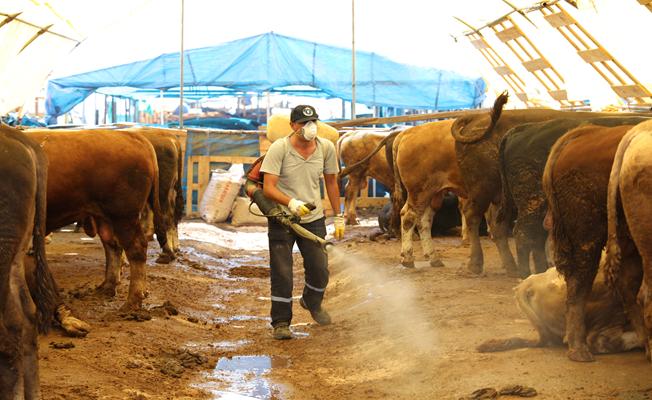 Kurban Bayramı'nda Çevre Sağlığına Dikkat