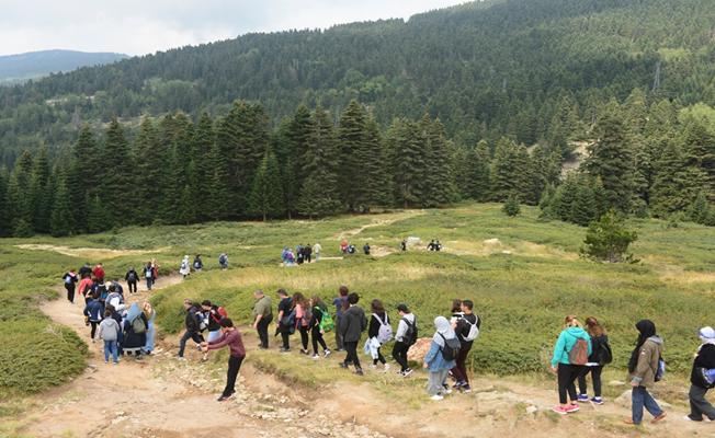 Uludağ'da Yıldız Yağmuru