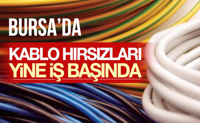 Bursa Büyükorhan'daki Kablo Hırsızları Yakalandı