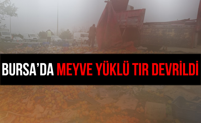 Bursa'da Meyve Yüklü Tır Devrildi: 2 Yaralı