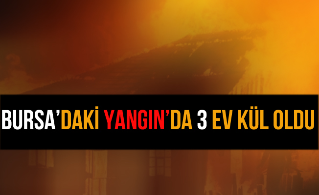 Bursa İnegöl'deki Yangında 2 Ev Küle Döndü