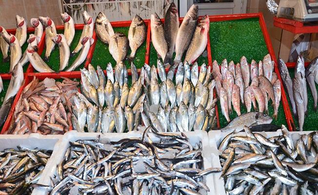 Bursa'da Balık Fiyatları Düşünce Müşteri ve Esnaf Bayram Yaptı!