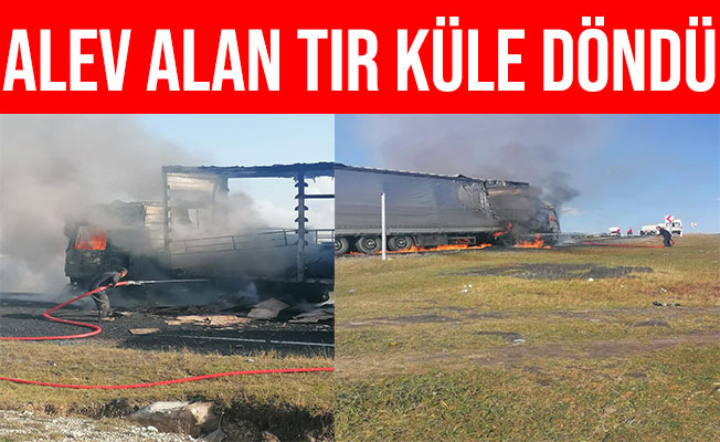 Ardahan'da Alev Alan TIR Alev Alev Yandı