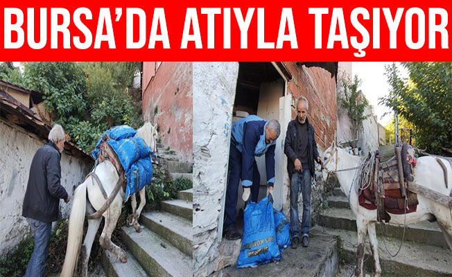 Bursa'da Araç Girmeyen Yerlere AT'ıyla Yük Taşıyor
