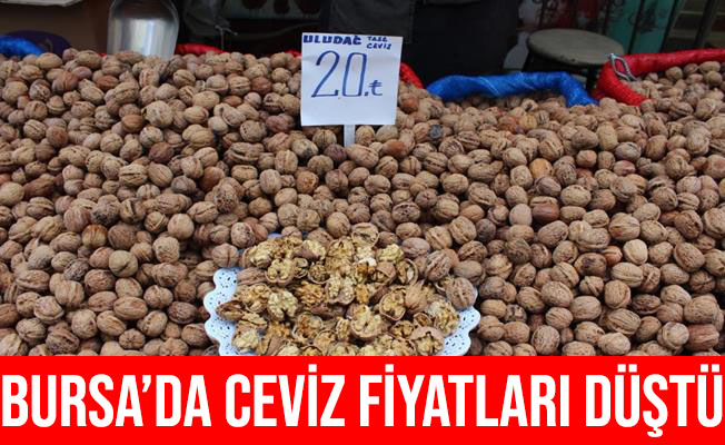 Bursa'da Ceviz Fiyatları Düştü