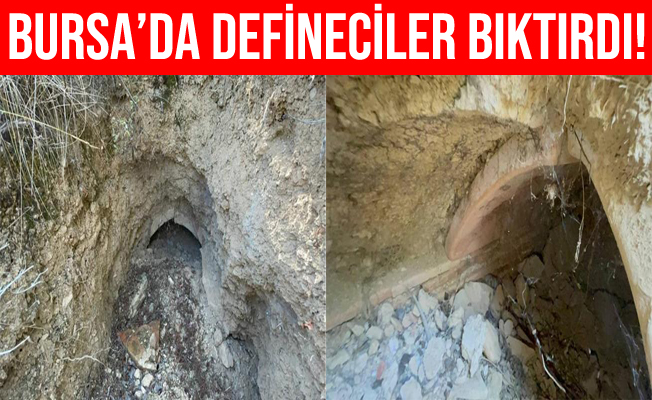 Bursa'da Defineciler Tarlaları Köstebek Yuvasına Çevirdiler