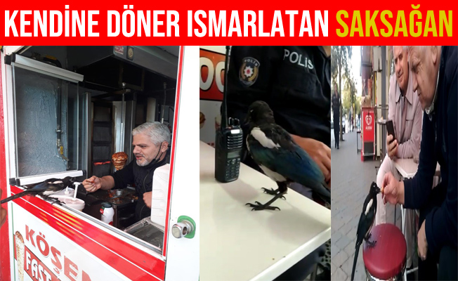 Bursa'da Kendine Döner Ismarlatan Saksağan