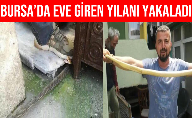 Bursa'da Kış Uykusuna Yatmayan Yılan Eve Girdi