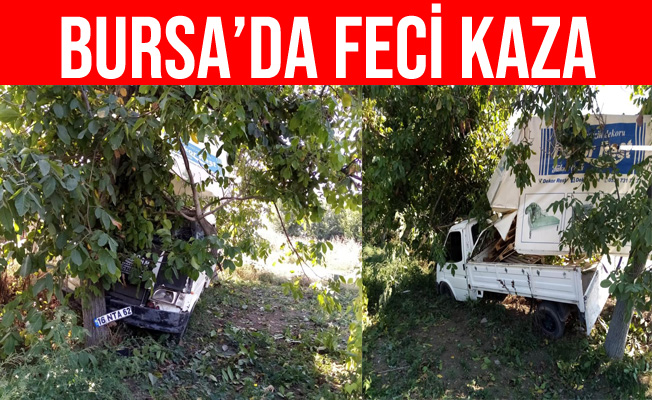 Bursa'da Kontrolden Çıkan Kamyonet Bahçeye Daldı