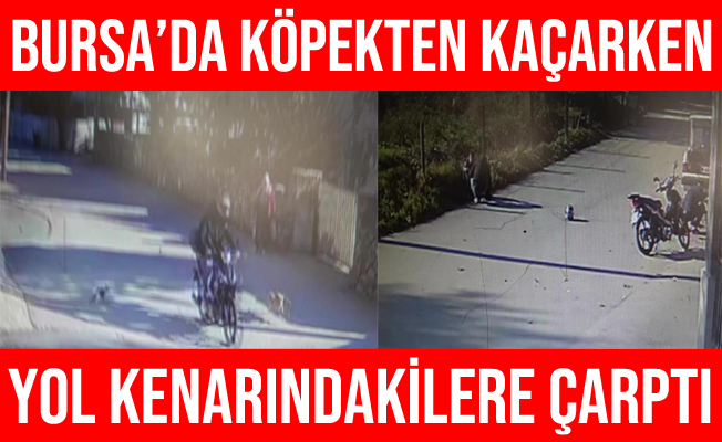 Bursa'da Köpekten Kaçarken Yol Üzerindeki Vatandaşlara Çarptı
