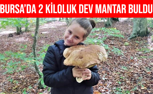 Bursa'da Küçük Kız 2 Kiloluk Dev Mantar Buldu