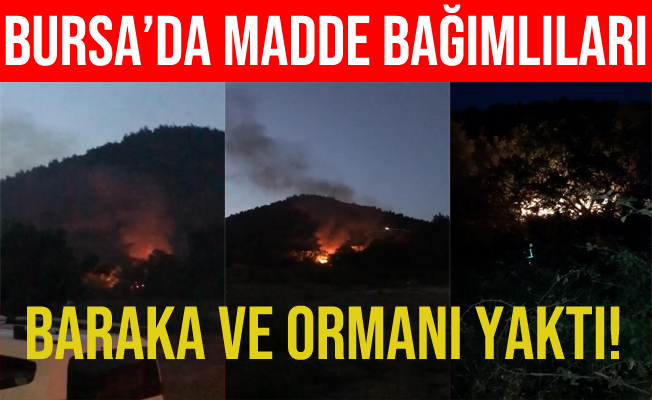 Bursa'da Madde Kullanırken Ormanı ve Barakayı Yaktı