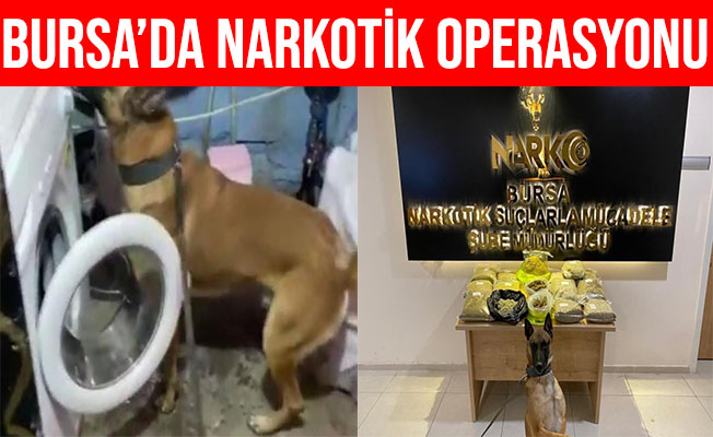 Bursa'da Narkotik Köpeği Fırtına 14 Kilo Uyuşturucuyu Buldu