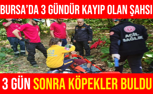 Bursa'da Sahibinin Gezintiye Çıkardığı Köpek, Kayıp Adamı Buldu