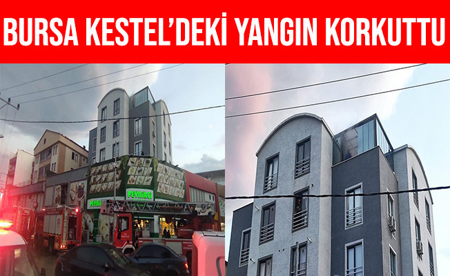 Bursa Kestel'deki Yangın Korkuttu