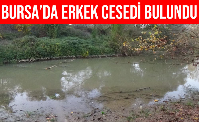Bursa’da 10 Gündür Kayıp Olan Adamın Cesedi Derede Bulundu
