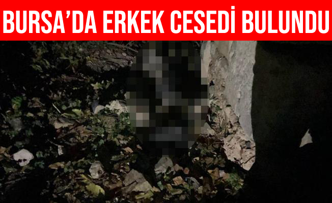 İznik Surlarında Erkek Cesedi Bulundu