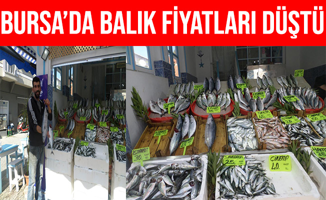 Marmara'da Sıcaklık Düşünce Balık Fiyatları Ucuzladı