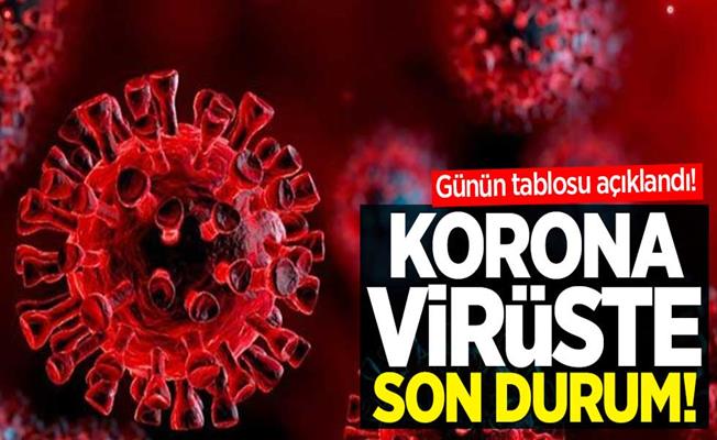 Türkiye'de Son 24 Saatte Korona Virüsten 228 Kişi Öldü