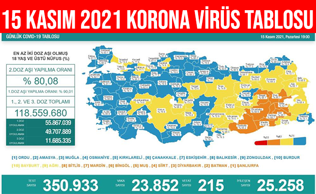 15 Kasım 2021 Türkiye KoronaVirüs Tablosu