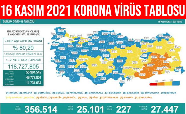 Türkiye Korona Virüs Tablosu 16 Kasım 2021