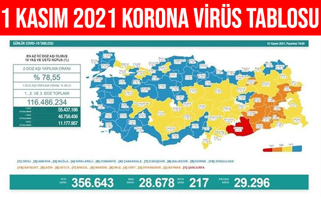 1 Kasım 2021 Türkiye Korona Virüs Tablosu